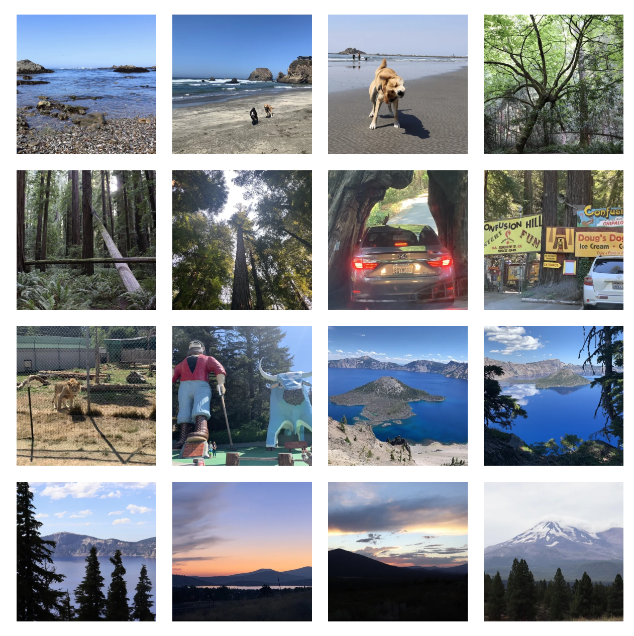 Photo collage from Crater Lake road trip - beaches, redwoods, dog, drive-through tree, Paul Bunyan statue, and Crater Lake views
